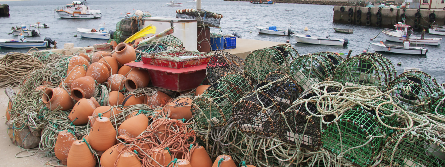 Pots and traps for commercial fishing