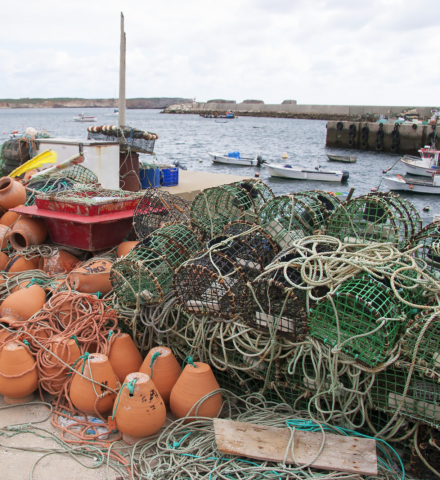 Pots and traps for commercial fishing