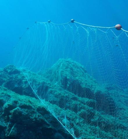 Gillnet underwater