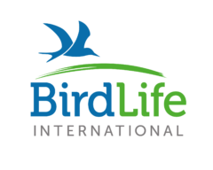 Birdlife International logo