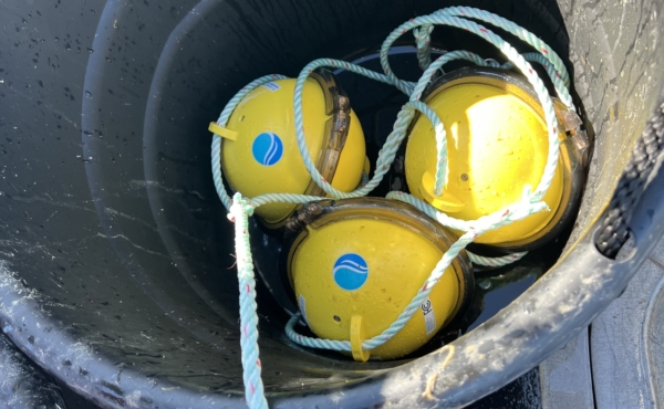 3 yellow smart buoys in a bucket