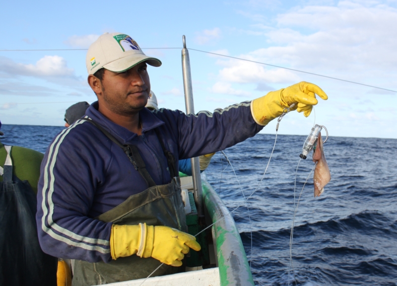 Fisherman holding a hookpod