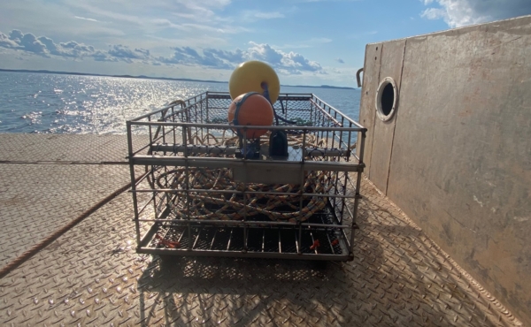 On-demand lobster pot on the back of a boat