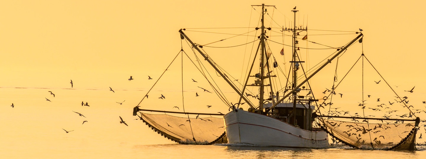 Fishing boat at work