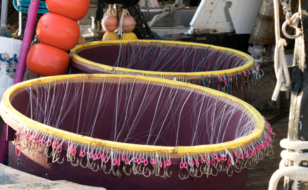 long line fishing hooks draped across a barrel