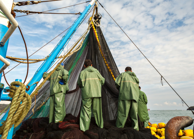 Fishers in gear setting up a large net for fishing on a boat in the water.
