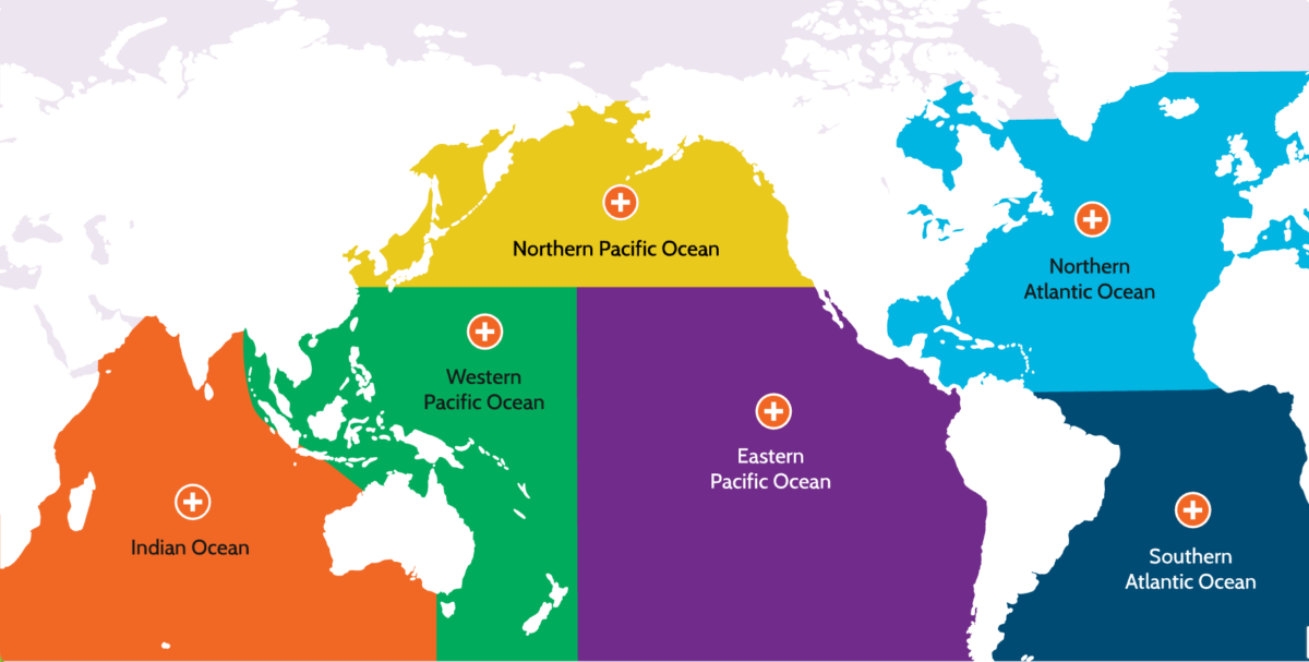 World map showing different fisheries of the world in different colors