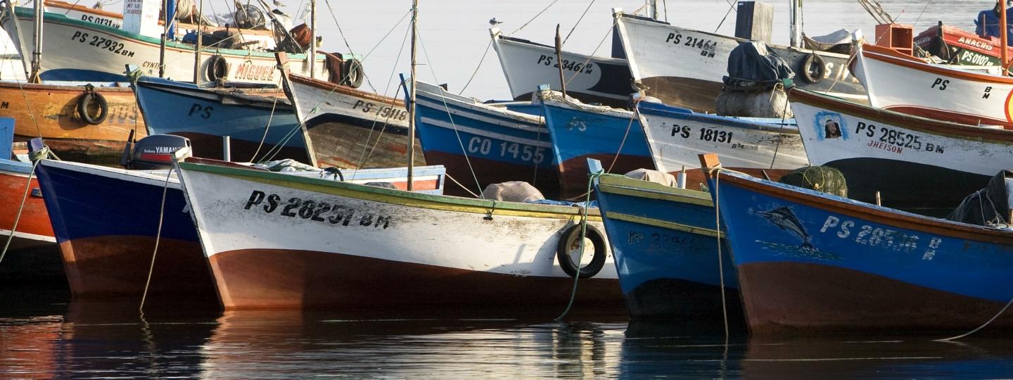 Fishing Boats in Harbour, Paracas in Peru