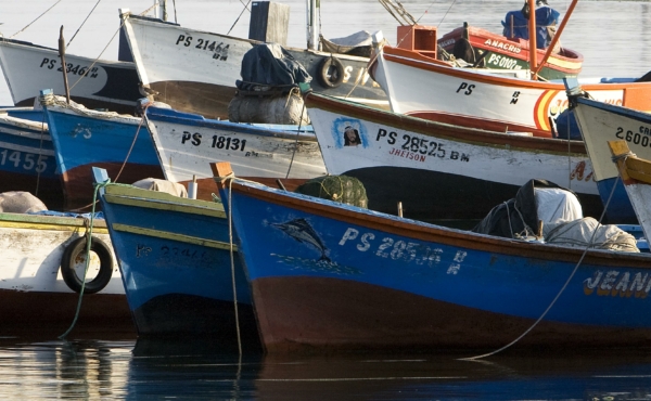 Fishing Boats in Harbour, Paracas in Peru