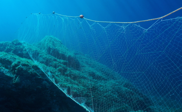 Gillnet underwater