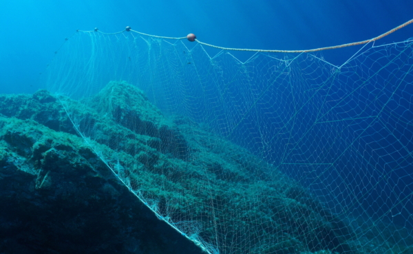 Gillnet underwater